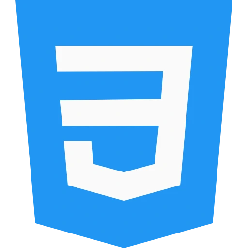 CSS_icon